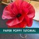 Paper Poppy Craft Tutorial