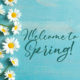 Welcome to Spring on blue with daisies